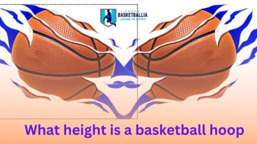 What height is a basketball hoop