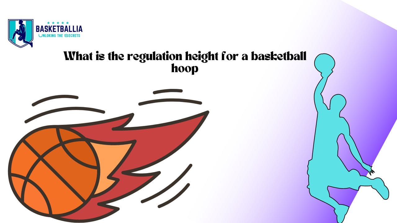 What is the regulation height for a basketball hoop